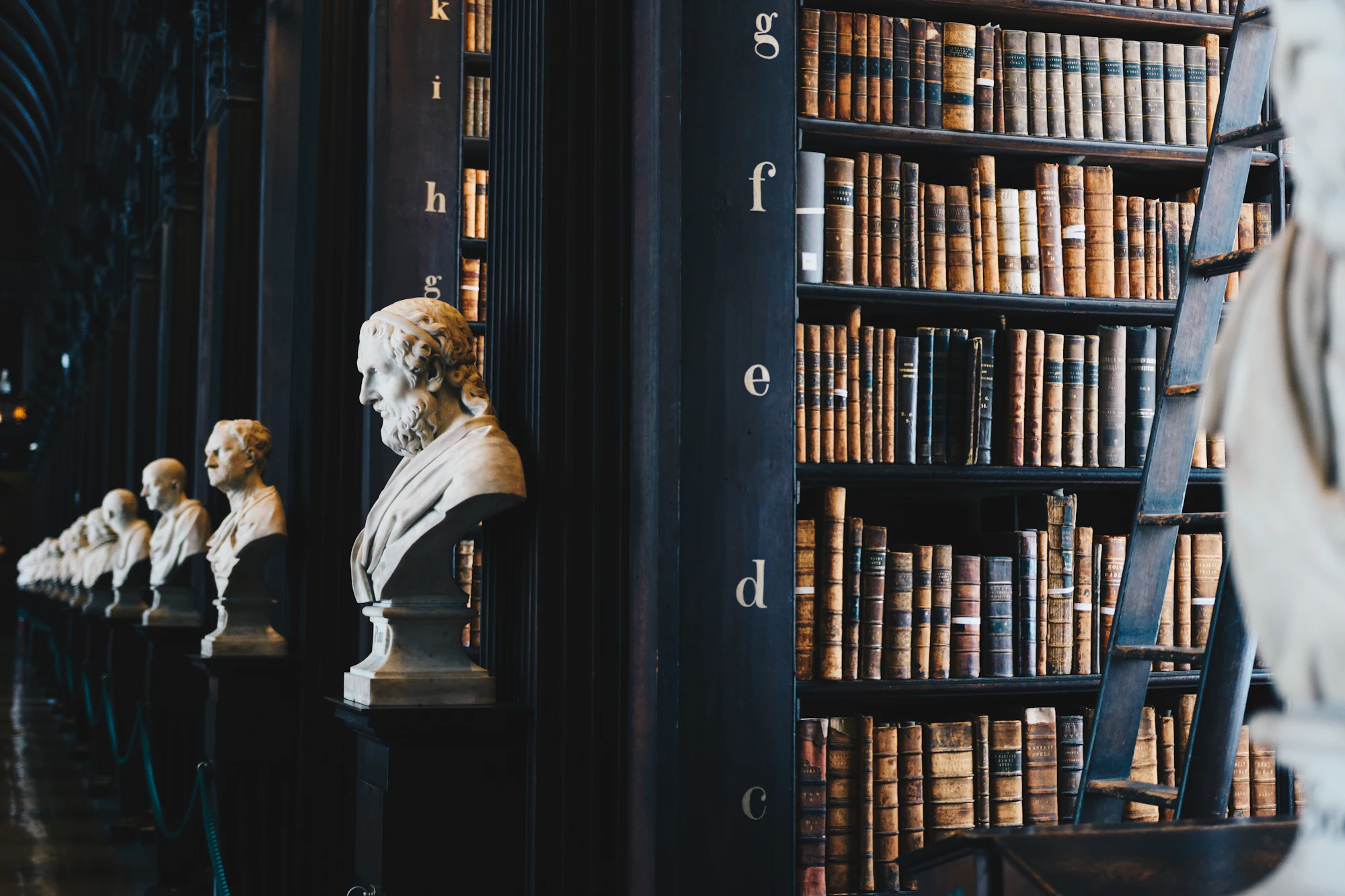 Marble busts lining the dark wood shelves of a historic library filled with leather-bound books